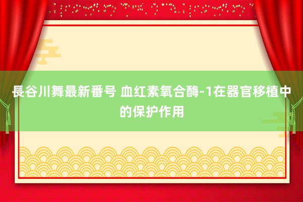 長谷川舞最新番号 血红素氧合酶-1在器官移植中的保护作用