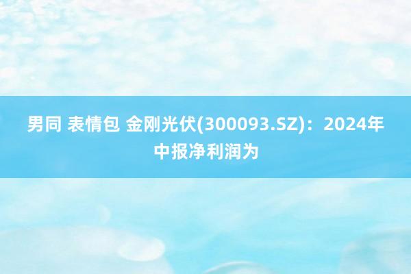 男同 表情包 金刚光伏(300093.SZ)：2024年中报净利润为