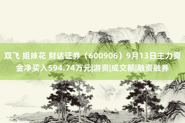 双飞 姐妹花 财达证券（600906）9月13日主力资金净买入594.74万元|游资|成交额|融资融券