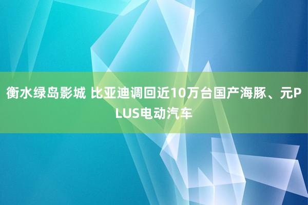 衡水绿岛影城 比亚迪调回近10万台国产海豚、元PLUS电动汽车