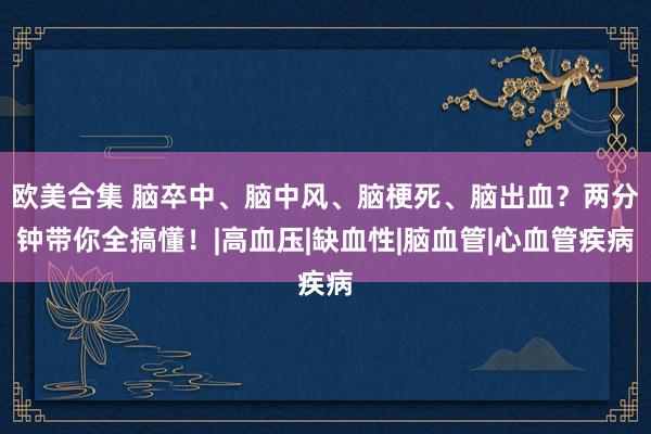 欧美合集 脑卒中、脑中风、脑梗死、脑出血？两分钟带你全搞懂！|高血压|缺血性|脑血管|心血管疾病