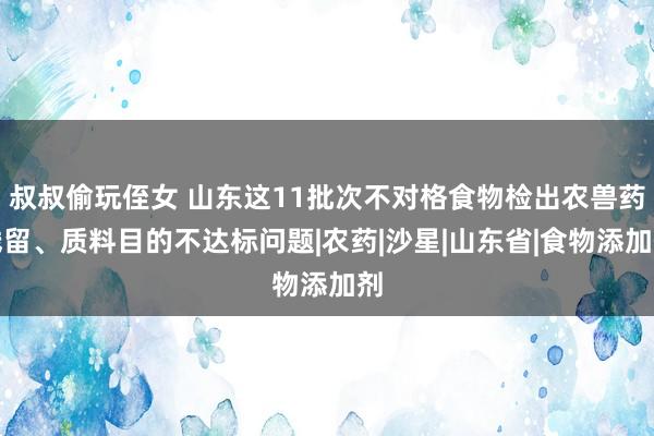 叔叔偷玩侄女 山东这11批次不对格食物检出农兽药残留、质料目的不达标问题|农药|沙星|山东省|食物添加剂